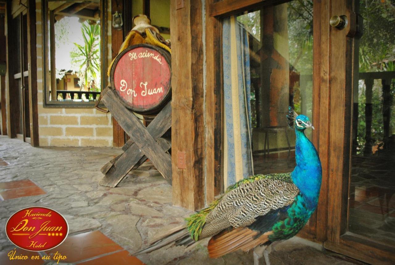 Hotel Hacienda Don Juan Hotel San Cristóbal de Las Casas